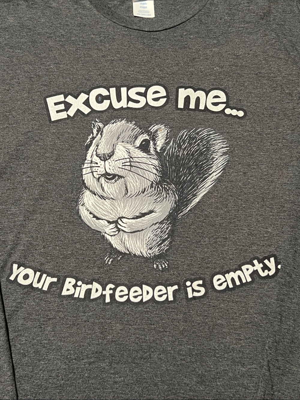 PORT & COMPANY🐿️ CHARCOAL GRAY 50/50 COTTON SQUIRREL LONG SLEEVE TSHIRT Women 2X